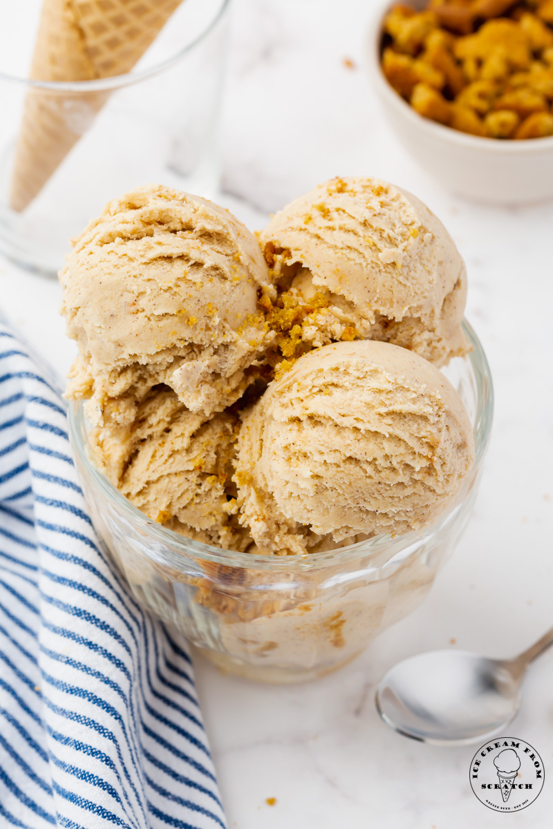 Homemade Cookie Butter Ice Cream: Creamy Spiced Delight Guide